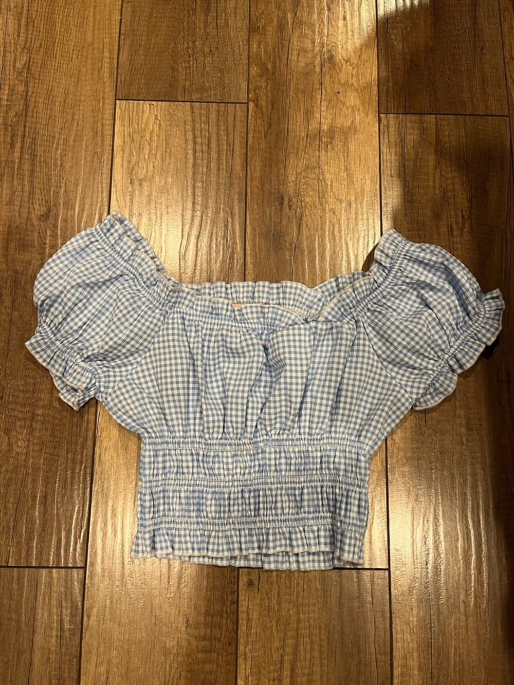 Lisa Says Gah Blue Gingham Smocked Crop Top